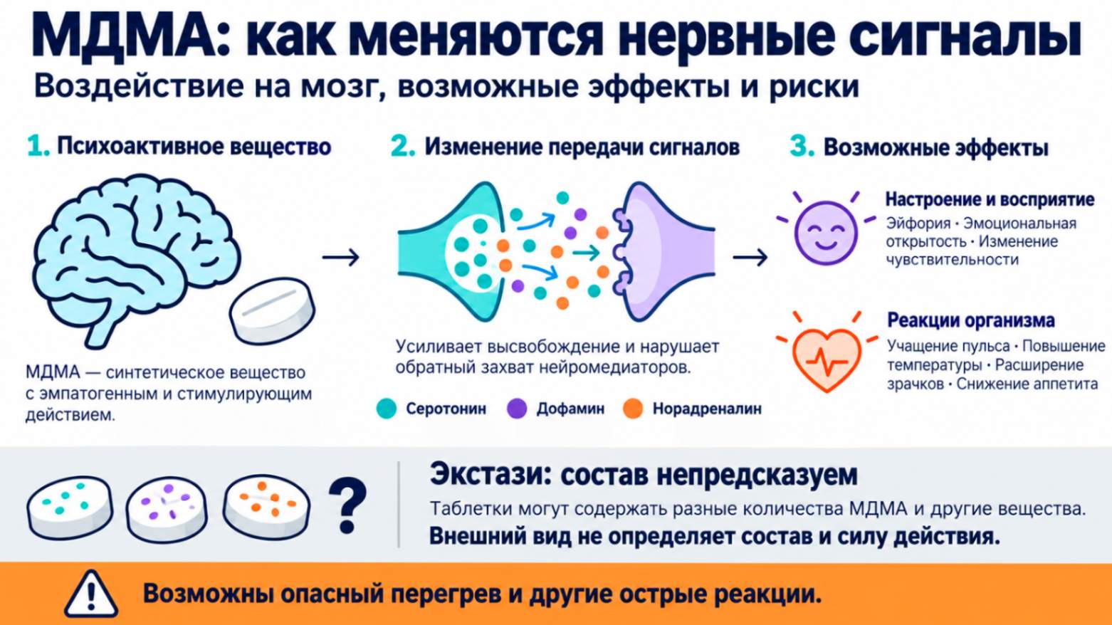 Экстази — наркотик, воздействующий на нервную систему: инфографика о действии МДМА, возможных эффектах и рисках непредсказуемого состава таблеток.