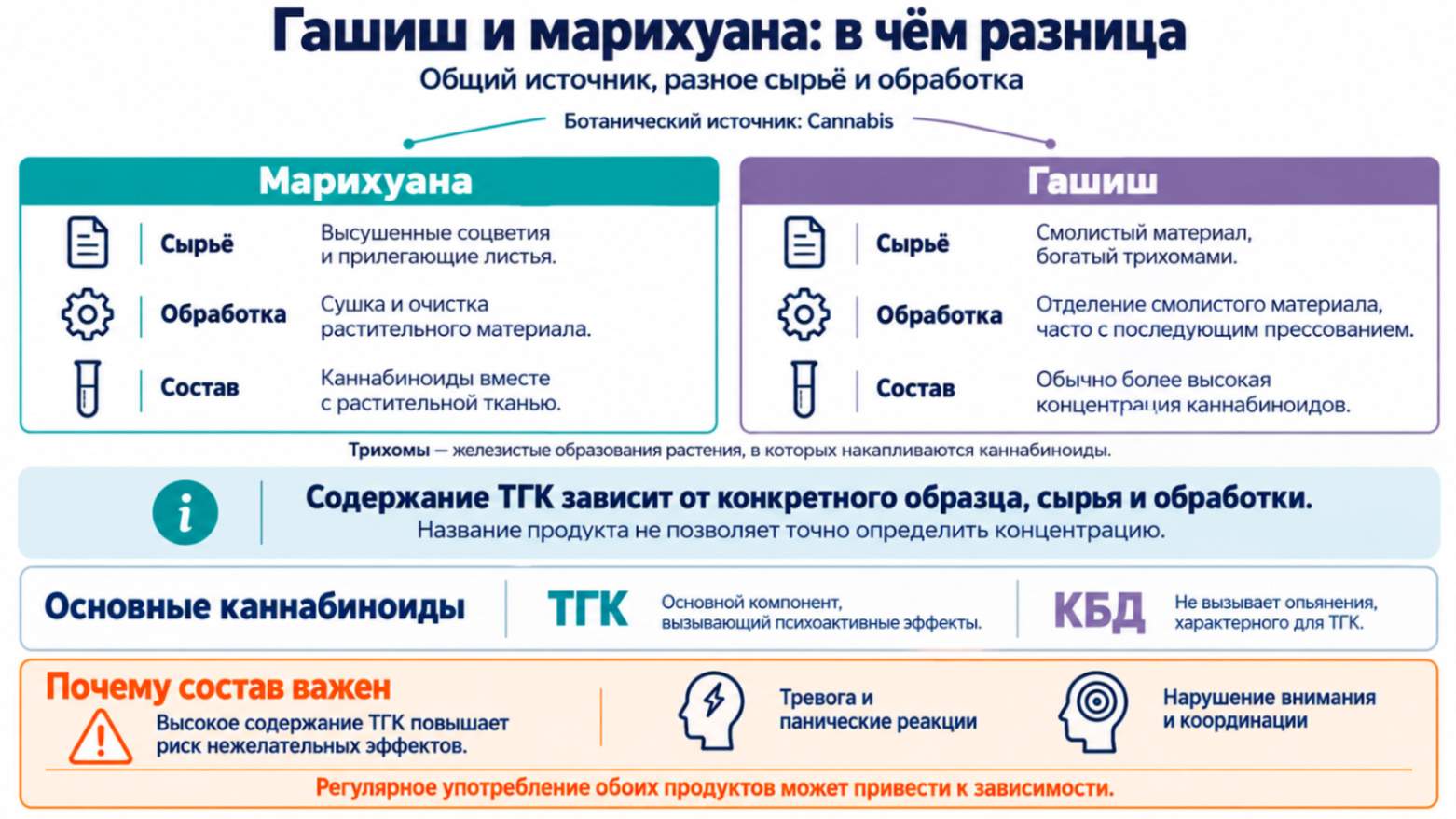 Гашиш и марихуана — разница в сырье, обработке и составе: инфографика о ТГК, КБД и рисках высокого содержания ТГК.