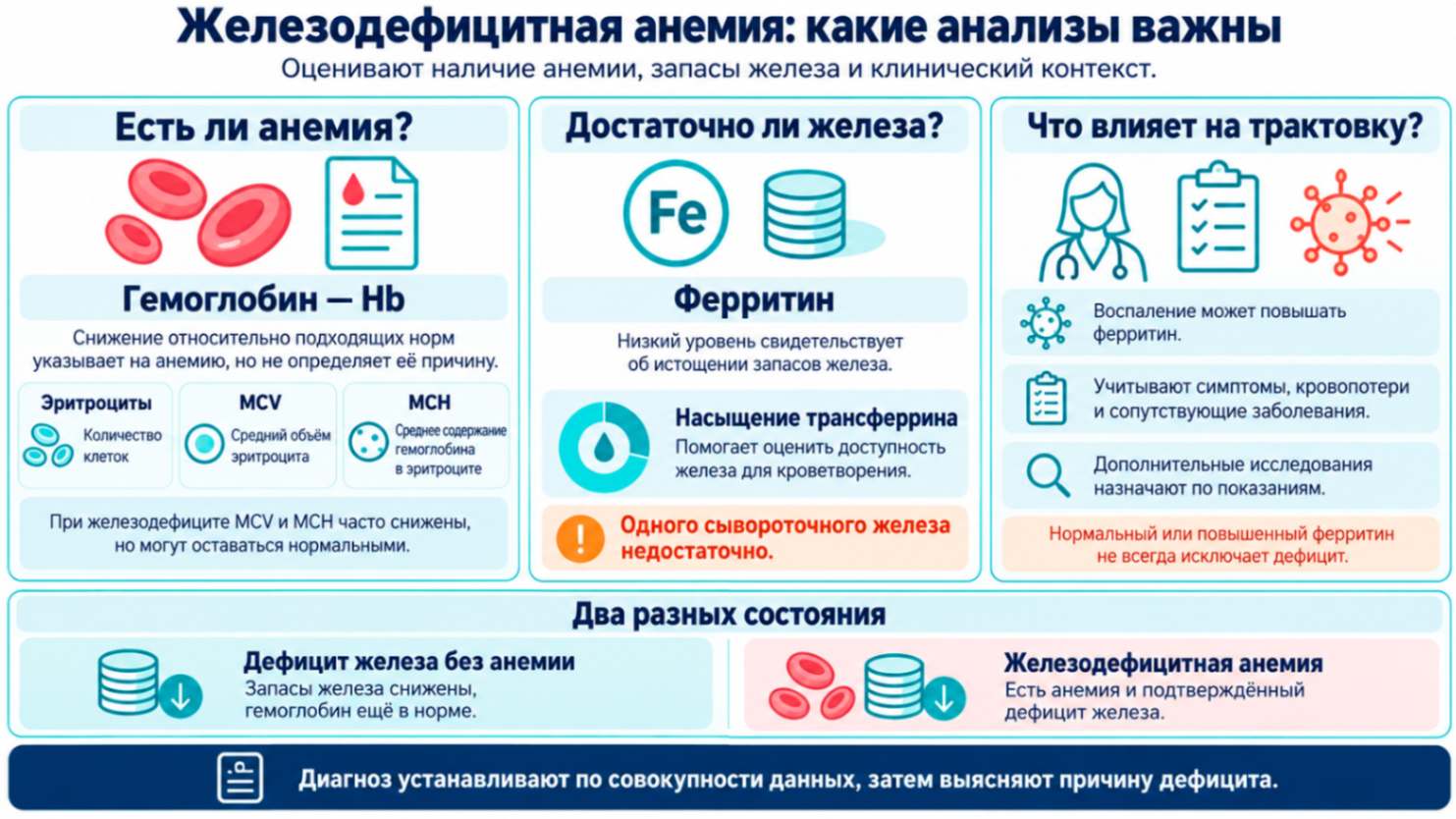 Как определить железодефицитную анемию по анализам крови: инфографика о гемоглобине, ферритине, индексах эритроцитов и насыщении трансферрина с учётом воспаления.