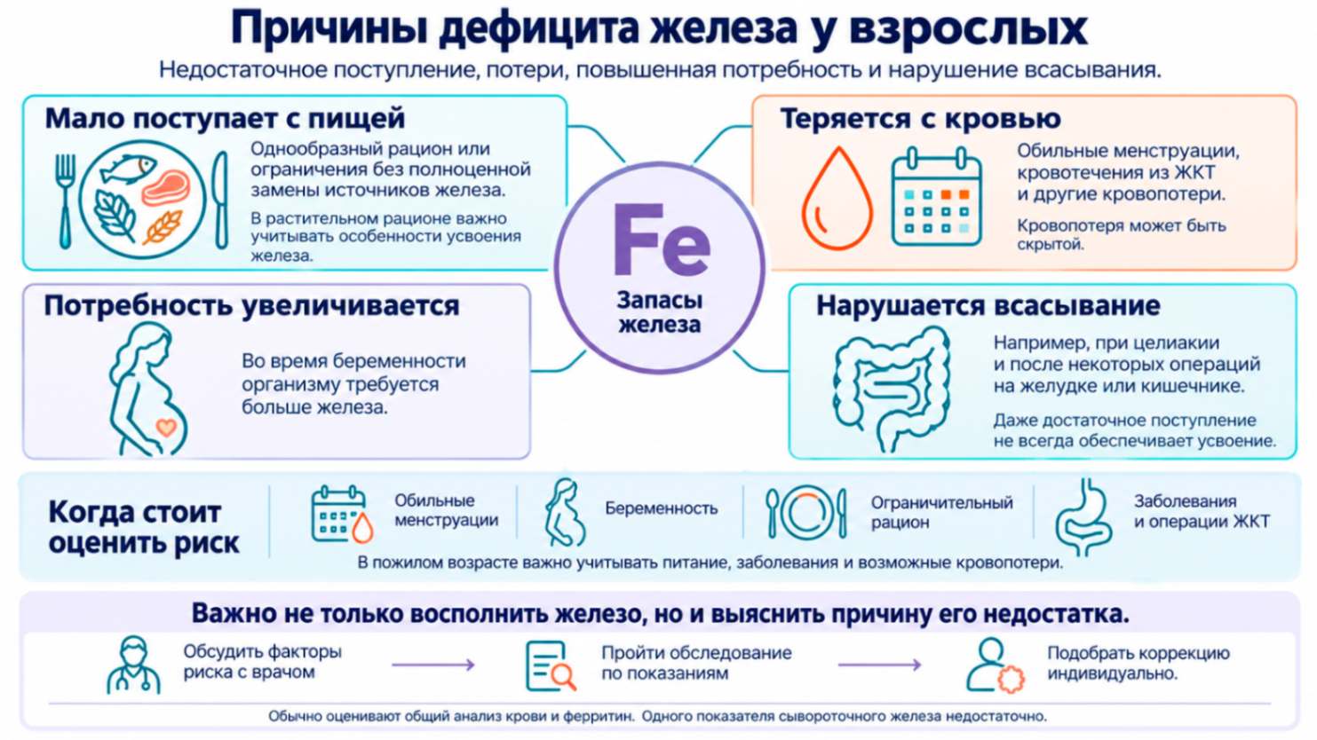 Причины дефицита железа у взрослых на инфографике: недостаточное поступление с пищей, кровопотери, повышенная потребность при беременности и нарушение всасывания.