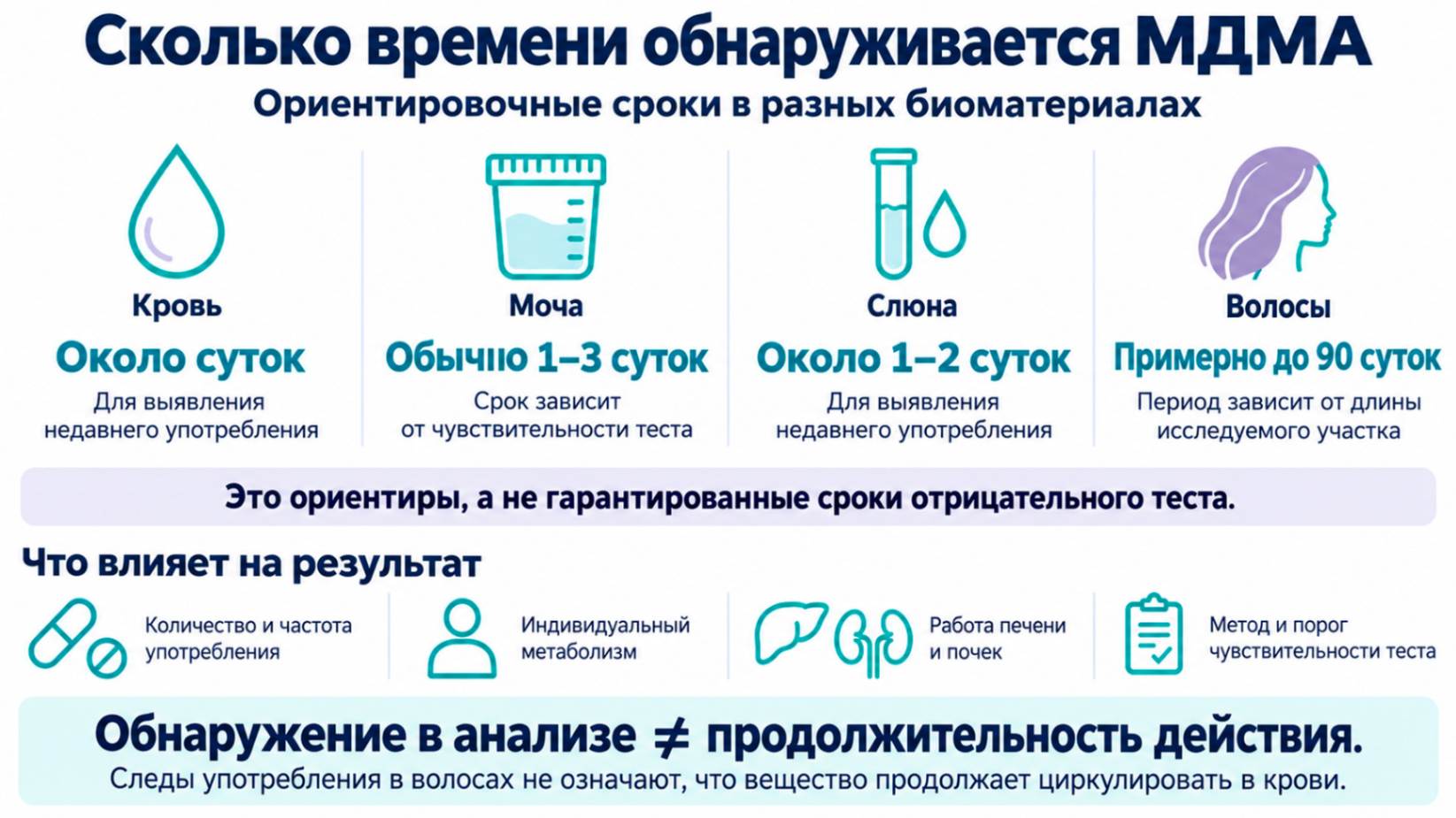 Сколько держится экстази в крови, моче, слюне и волосах: инфографика с ориентировочными сроками обнаружения МДМА и факторами, влияющими на результат анализа.