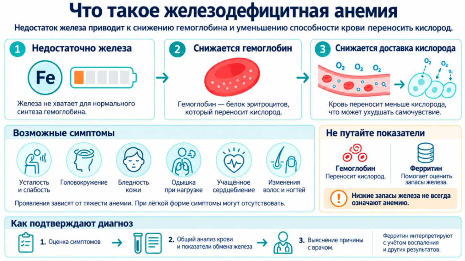 Железодефицитная анемия на инфографике: недостаток железа, снижение гемоглобина, уменьшение доставки кислорода, возможные симптомы и подтверждение диагноза.